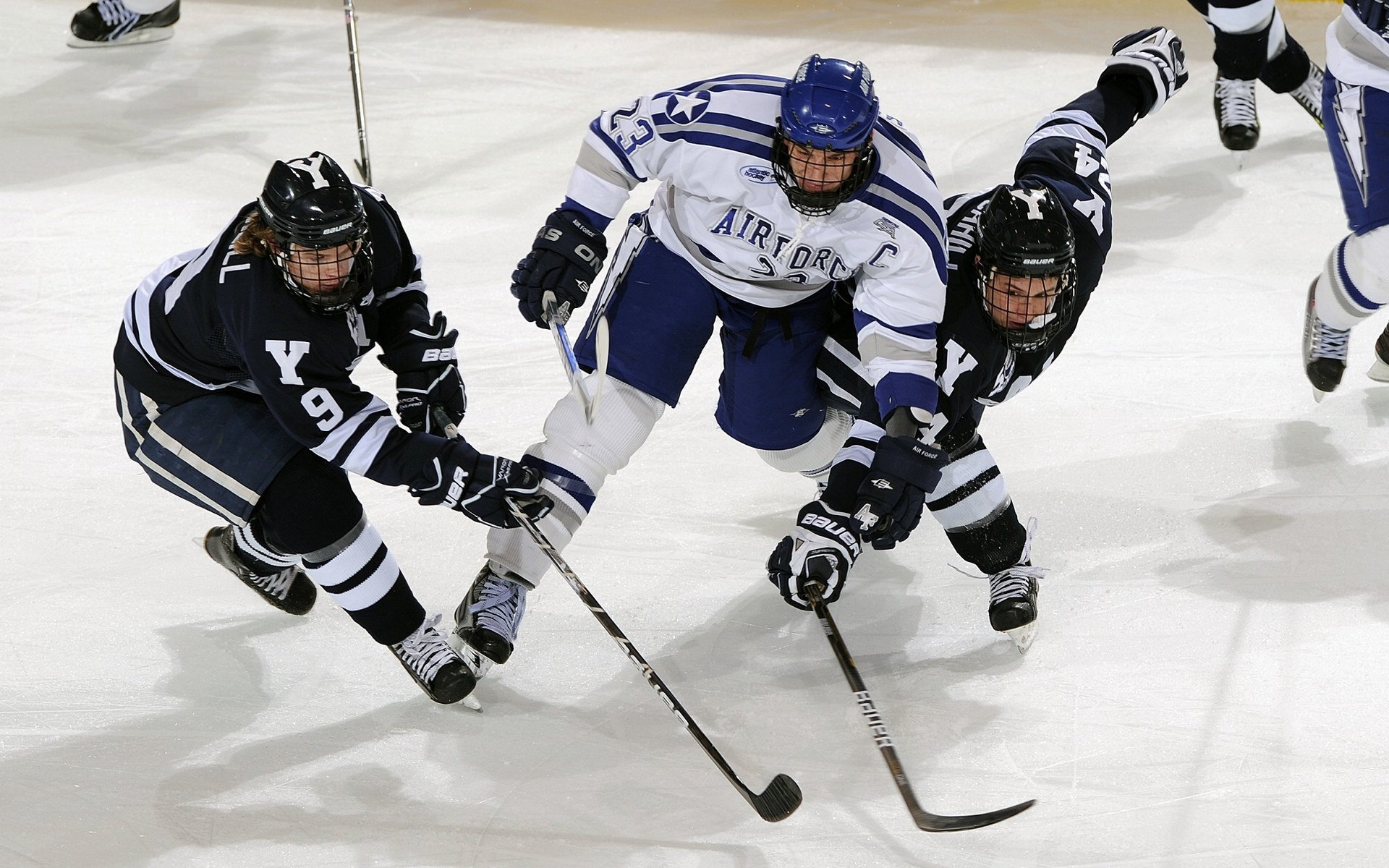 米兰电竞-中国篮球青训教练员专业能力提升方法,篮球青训师 第5张 米兰电竞-中国篮球青训教练员专业能力提升方法,篮球青训师 第5张