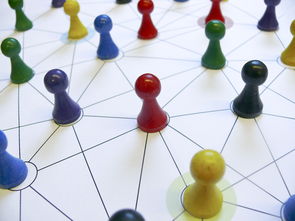 米兰体育网页版-中国篮球青训教练员能力提升路径,篮球青训师的待遇怎么样 第1张 米兰体育网页版-中国篮球青训教练员能力提升路径,篮球青训师的待遇怎么样 第1张