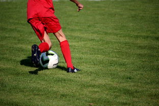 ac米兰官方网站-篮球运动员心理健康维护体系建设研究,篮球运动员心理健康维护体系建设研究论文 第2张 ac米兰官方网站-篮球运动员心理健康维护体系建设研究,篮球运动员心理健康维护体系建设研究论文 第2张