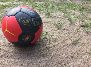 AC MILAN APP-英超球队基于运动表现数据调整赛中体能分配策略,英超球队规则 第1张 AC MILAN APP-英超球队基于运动表现数据调整赛中体能分配策略,英超球队规则 第1张